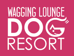 A logo for wagging lounge dog resort.