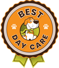 A dog is standing in front of the best day care logo.