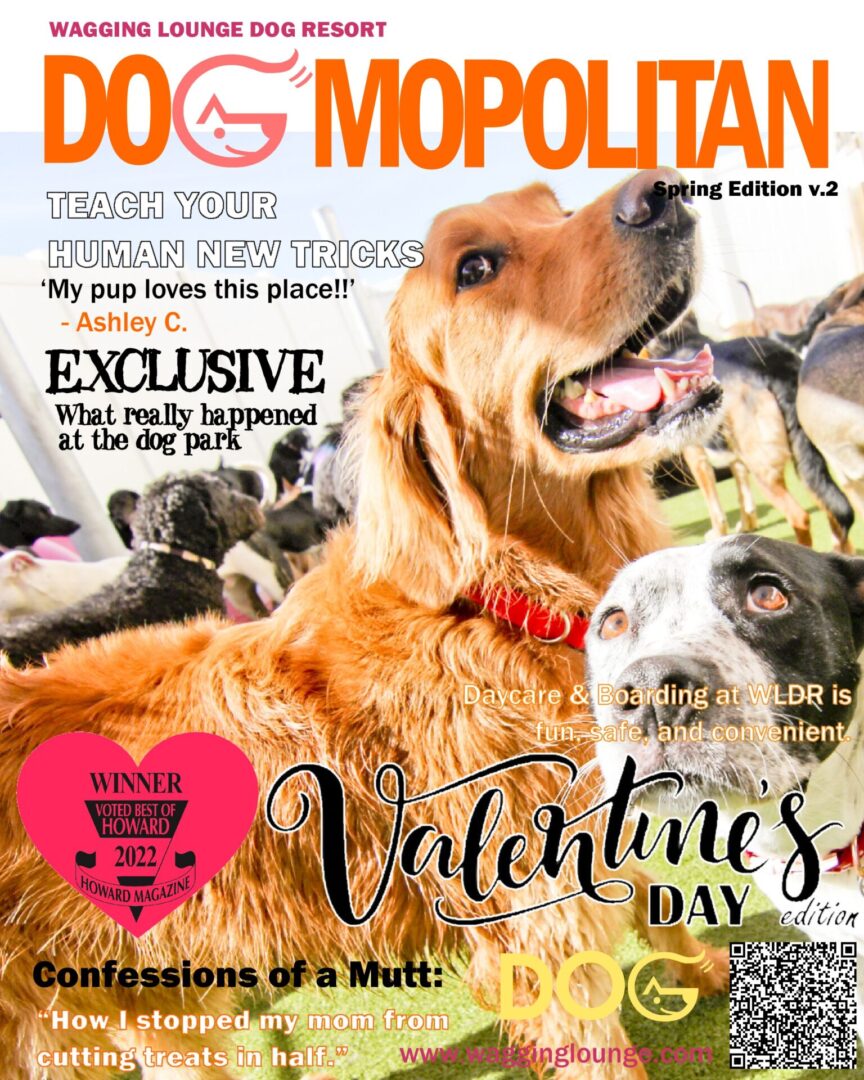 A dog magazine cover with two dogs in the background.