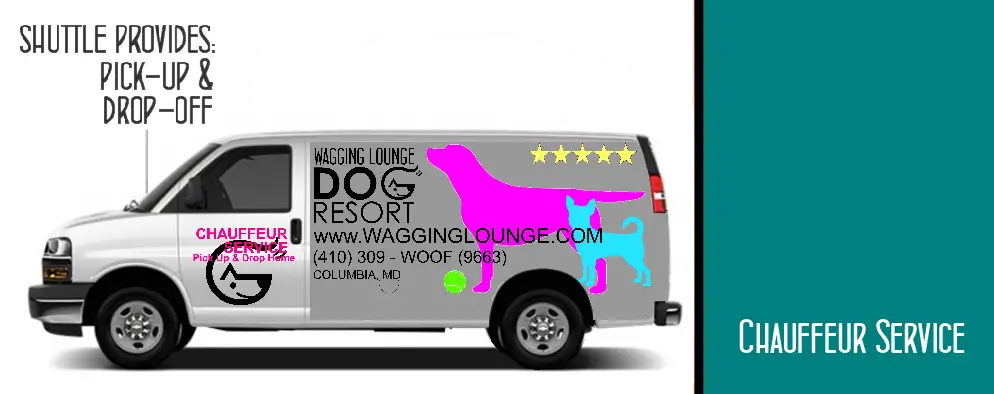 A van with the words wagging lounge dog resort