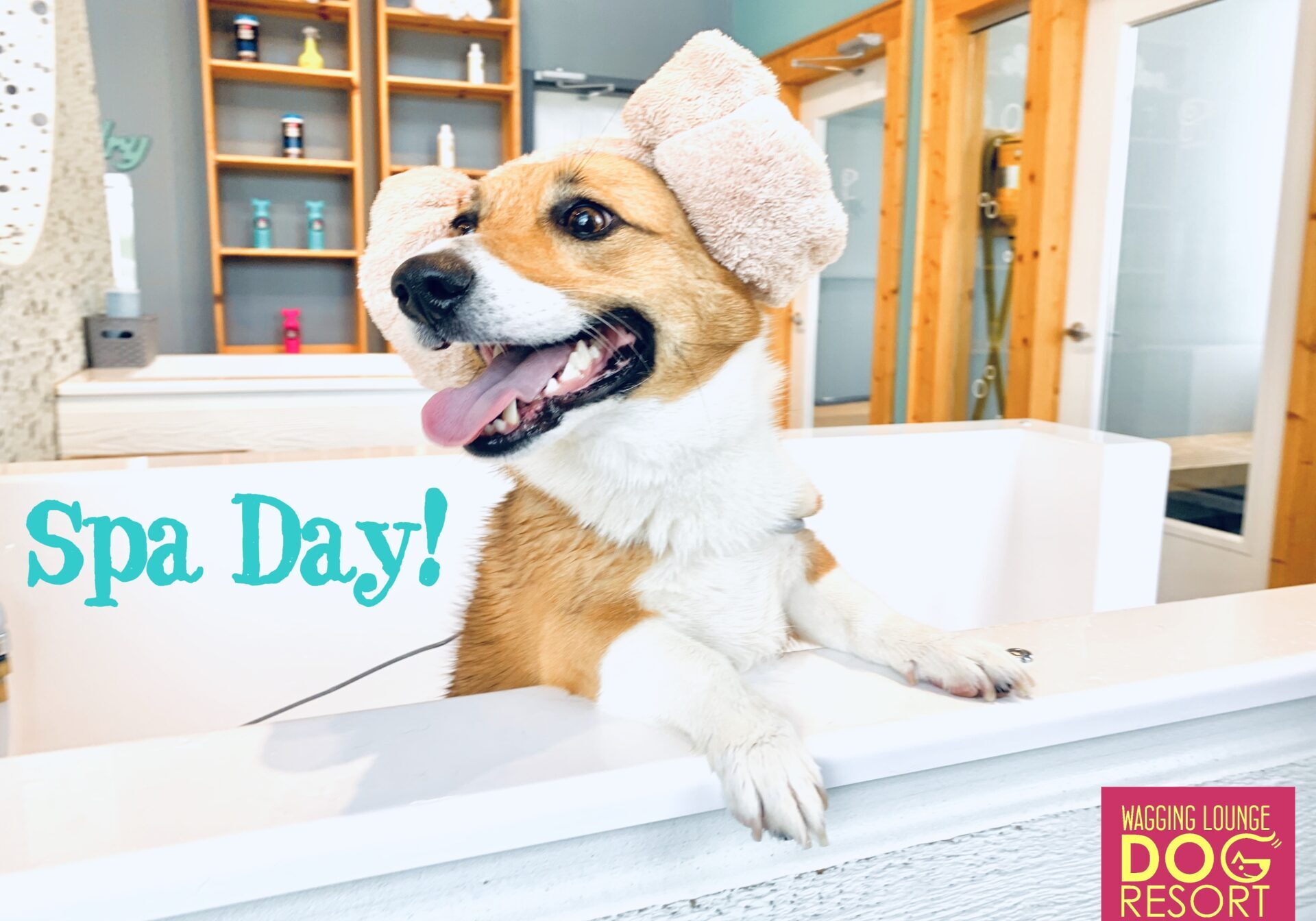 A dog sitting in the bathtub wearing a hat.