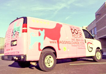 A pink van with the words " dog rescue " on it.